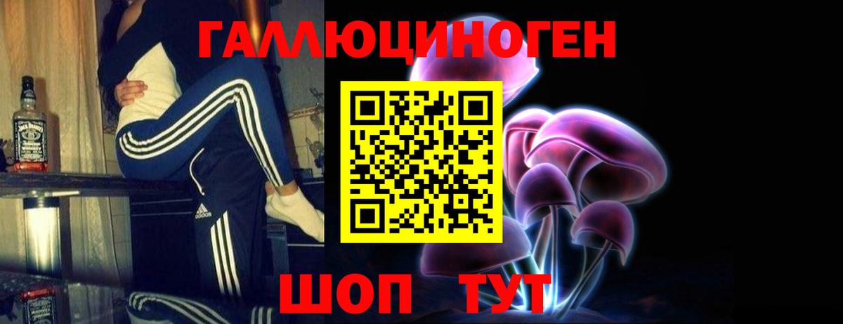 Галлюциногенные грибы прущие грибы  Вход с VPN  Геленджик 